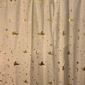 Aladdin Jasmine Disney Parks Shower Curtain New